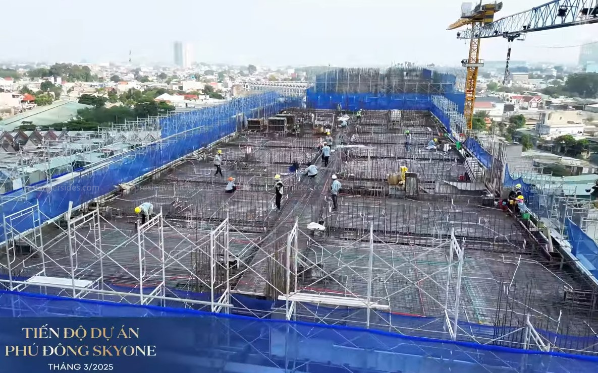 Tiến độ Tháng 3-2025 (2)