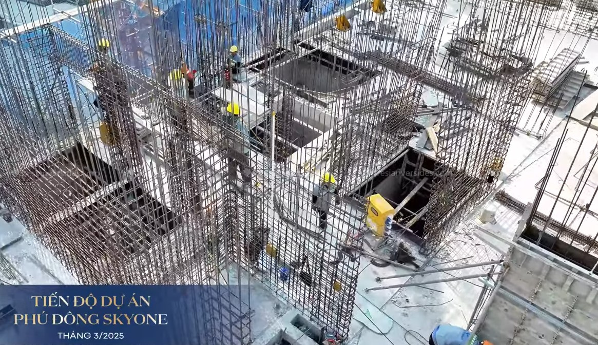 Tiến độ Tháng 3-2025 (3)