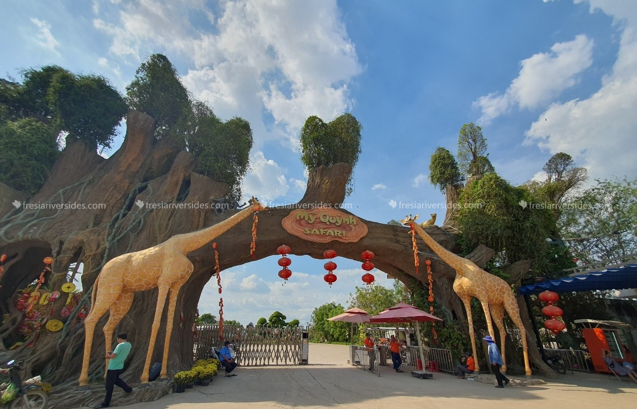 Sở Thú Safari mỹ Quỳnh