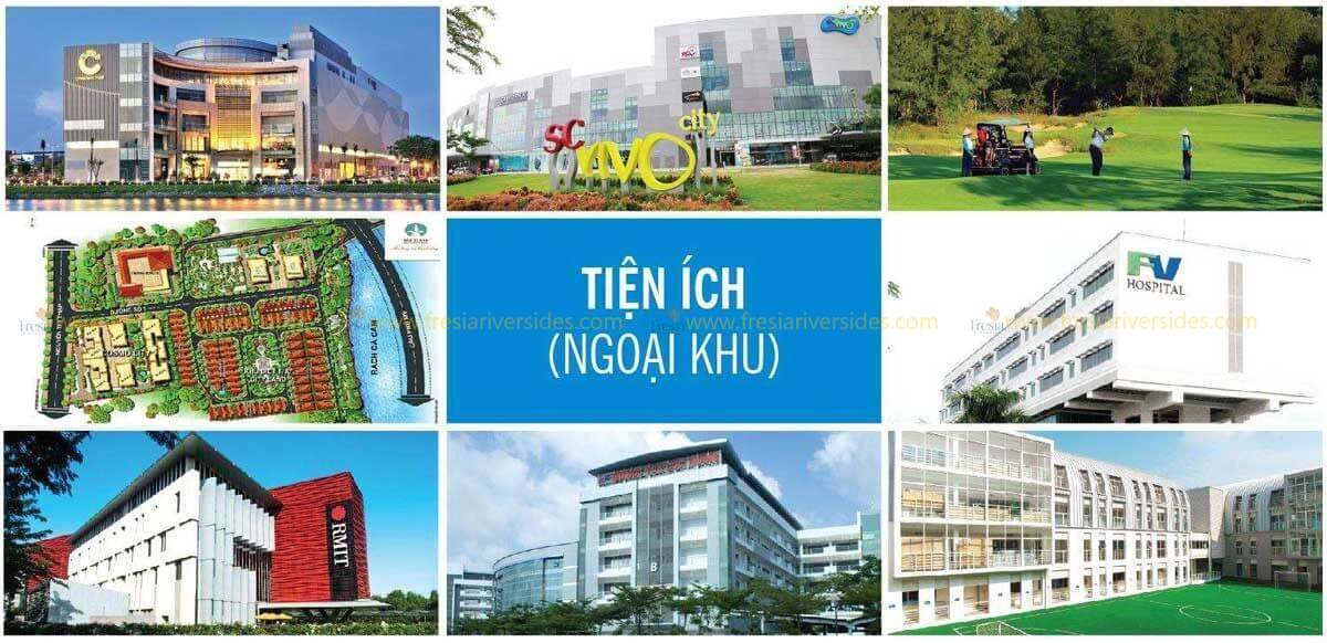 kết nối cùng của dự án Cosmo City